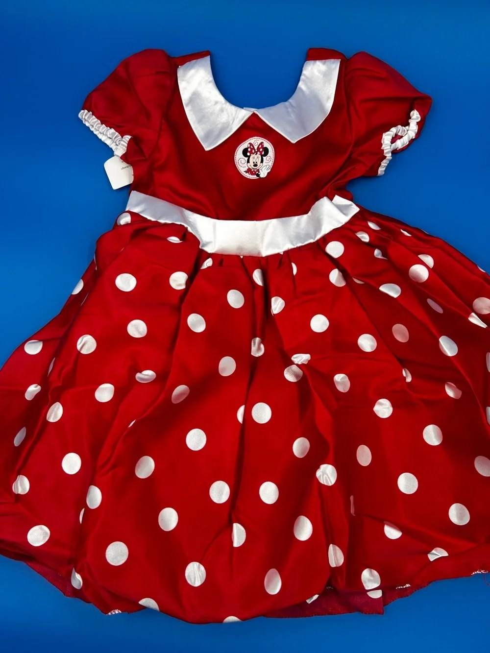 Disney Red Tag with Woven Logo